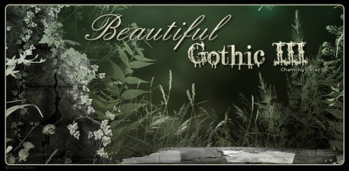 Beautiful Gothic III “Charming Decay”