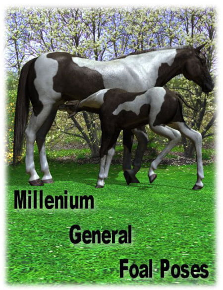 Millennium Foal General Poses