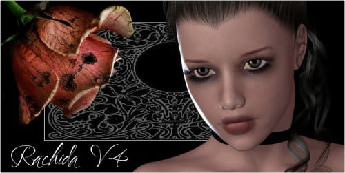 :: Rachida for V4 ::