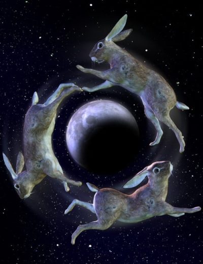 noggins-rabbit-and-hare-large