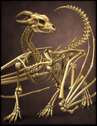the-bone-dragon-large