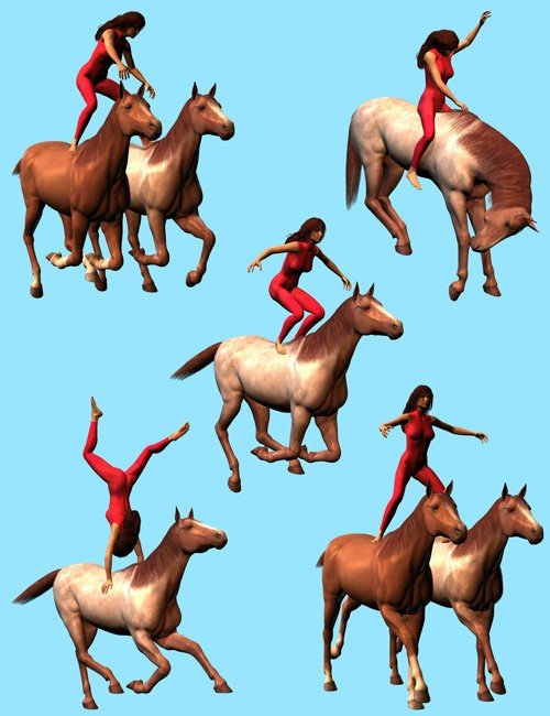 Victoria 4 Equestrian