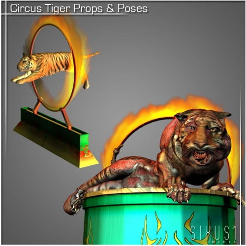 Circus Tiger Props & Poses