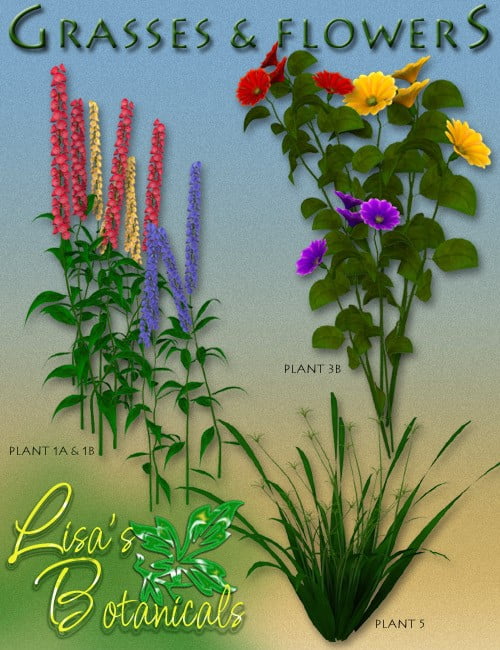 Lisa's Botanicals - Grasses & Flowers