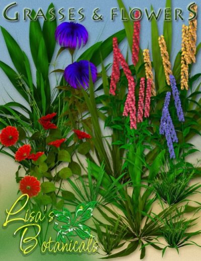 grasses-flowers-large_1