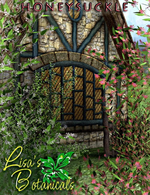 Lisa's Botanicals - Honeysuckle