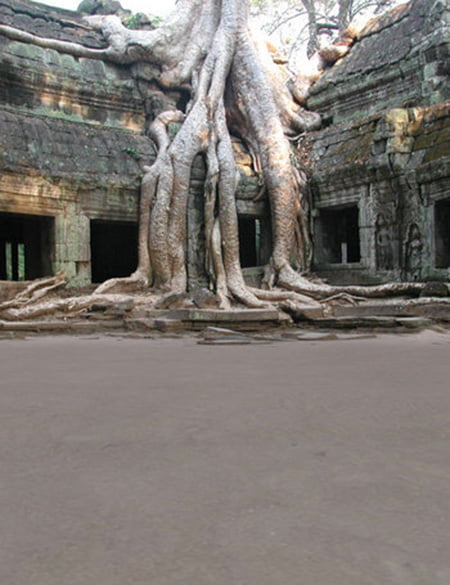 Digital Tourist - Ta Prohm