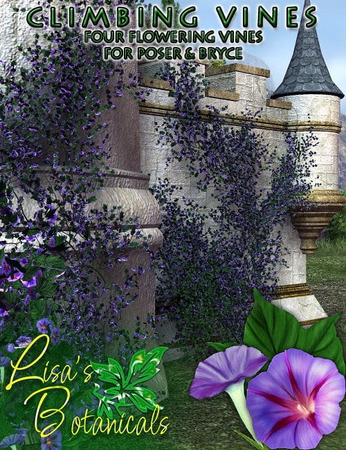 Lisa's Botanicals - Climbing Vines