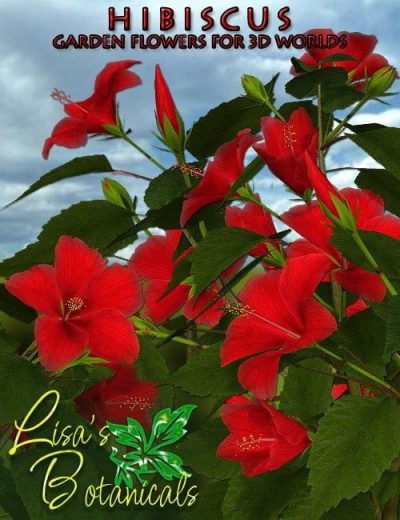 lisa-s-botanicals-hibiscus-large