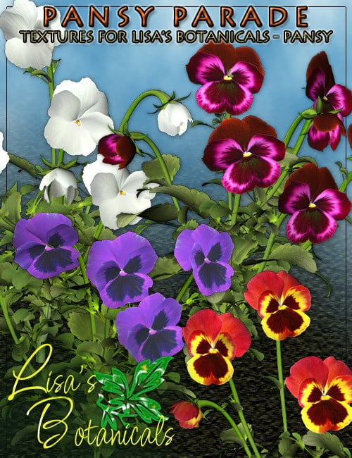 Lisas Botanicals Pansy Parade
