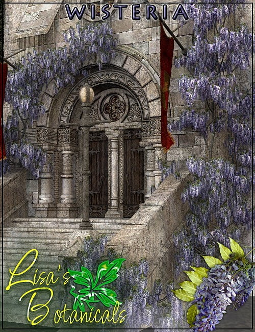 Lisa's Botanicals - Wisteria