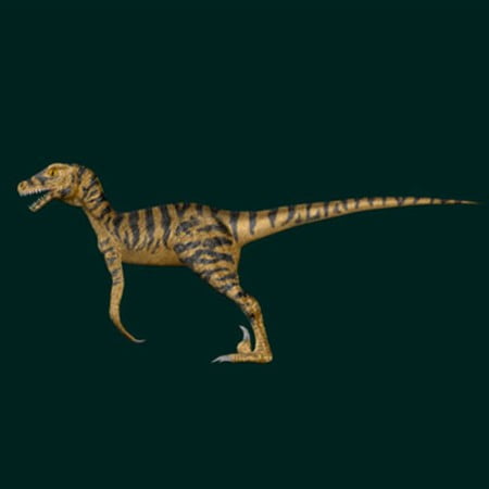 Dinosaur - Raptor