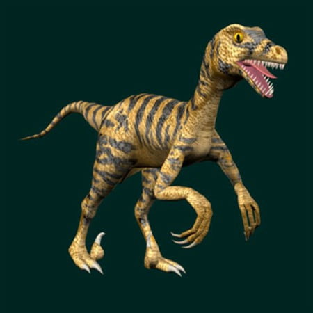 Dinosaur - Raptor