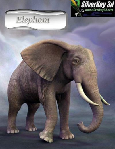 african-elephant-large