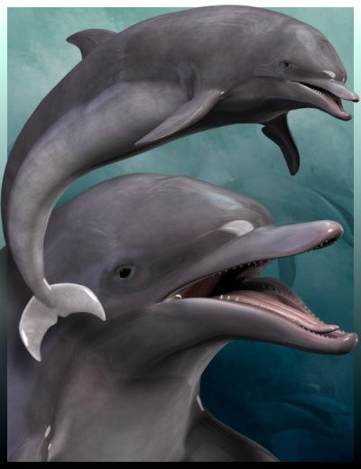 dolphin-large