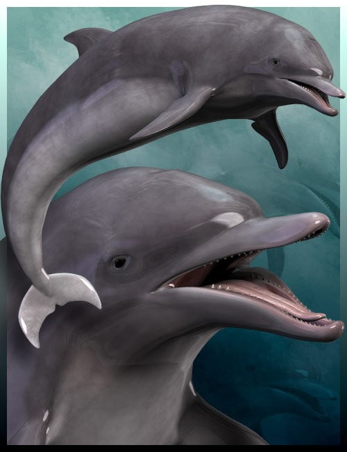 Dolphin Dolphin