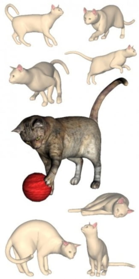 Feline Discovery Poses