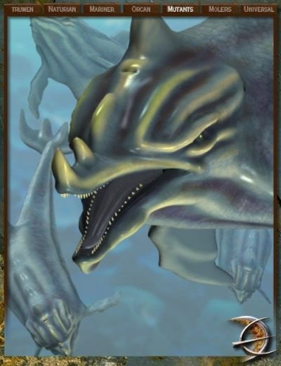 hell-dolphin-large-2