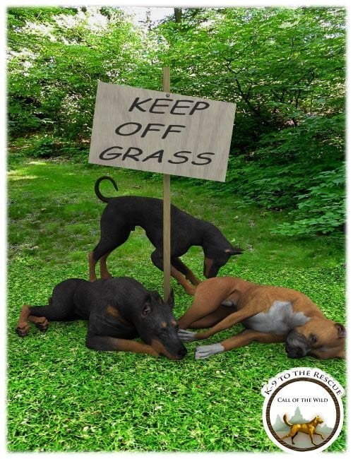 K9 General poses and props