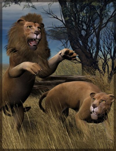 millennium-big-cat-large