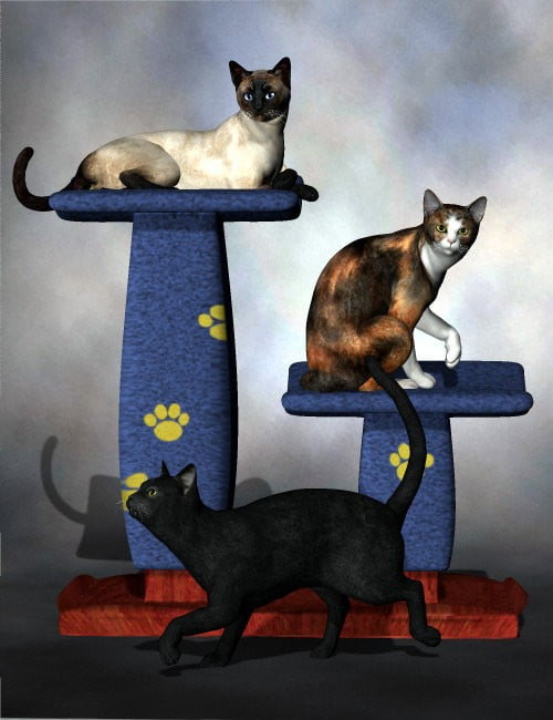 Purrfect Poses for the Millennium Cat