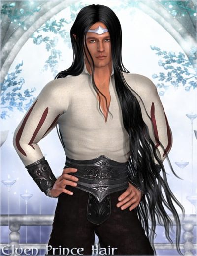 elven-prince-hair-1