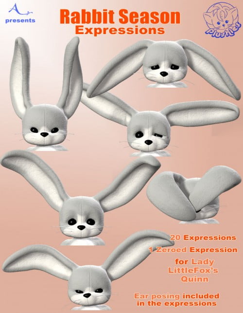 Rabbit Season Expressions Rabbit Season Expressions
