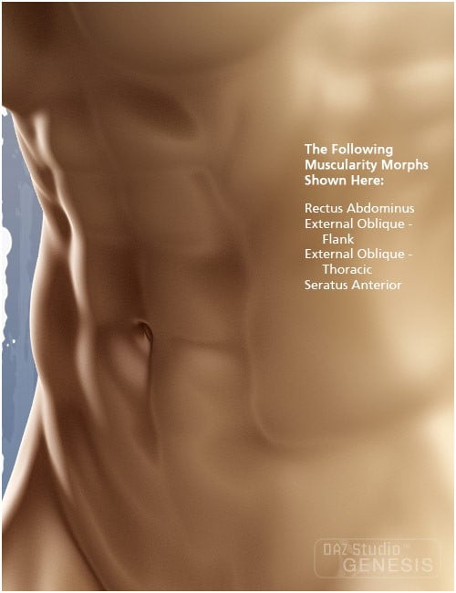 Genesis Evolution: Muscularity