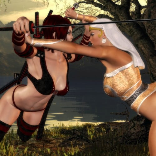 Catfight Poses IV "Swordmaidens"