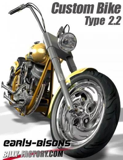 custom-bike-type-2-2-large