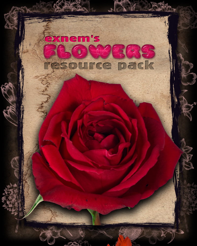 Exnem’s Flowers Resource Pack