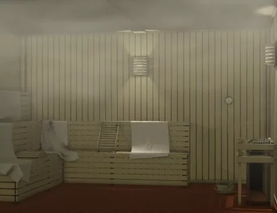 sauna-0
