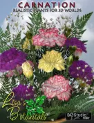 Lisa's Botanicals - Carnation