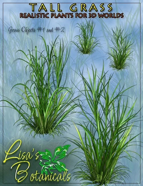 lisas-botanicals-tall-grass-0