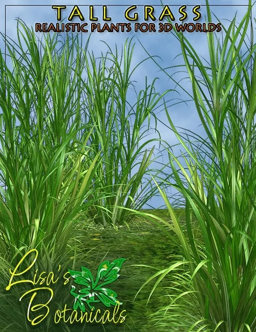 lisas-botanicals-tall-grass-large