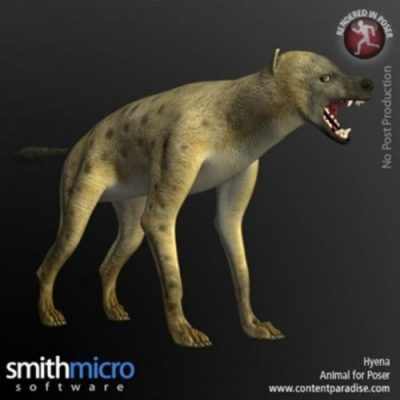 Animals_Hyena_01