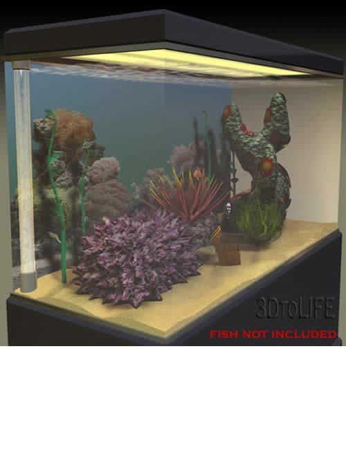 Fish Tank Fish Tank