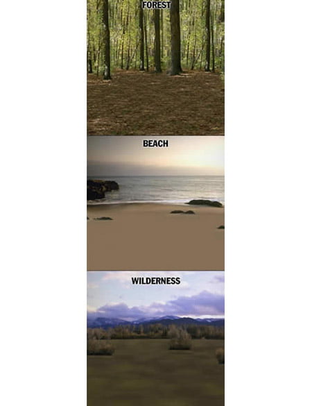 Multiplane Cyclorama