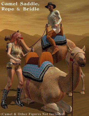 Camel Saddle & Bridle