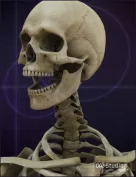 M4 Skeleton