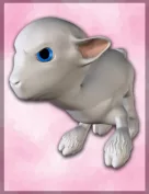 Toonimal Lamb