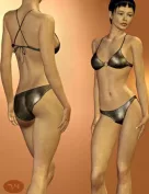 Emi for V4