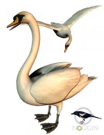 Noggins Poser Swan