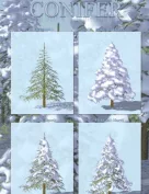 Flinks Conifer