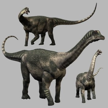 AntarctosaurusDR