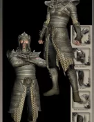 Royal Knight Armor for M3