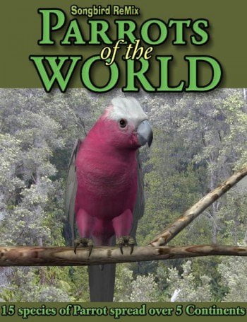 Songbird ReMix Parrots of the World Songbird ReMix Parrots of the World