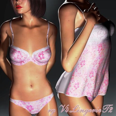 rg V4LingerieT2