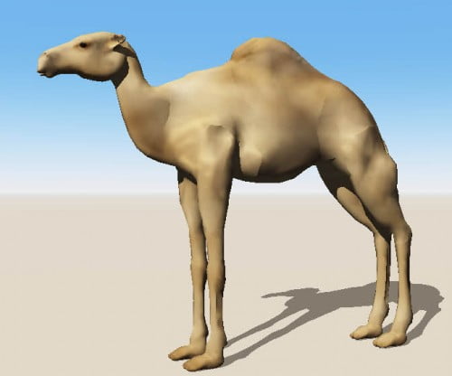 Dedicated Digital Animal Kingdom