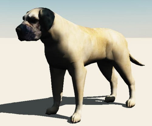 Dedicated Digital Animal Kingdom